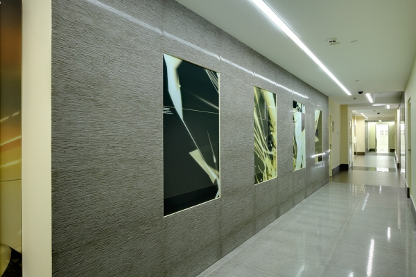 "TNK-BP". Corridor, VIP sector.